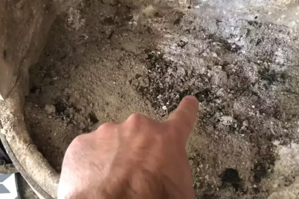 bien allumer feu cheminee foyer ferme