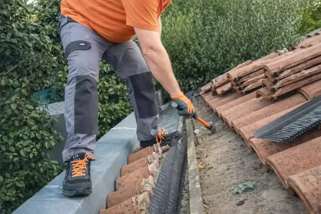 grenier animaux loir