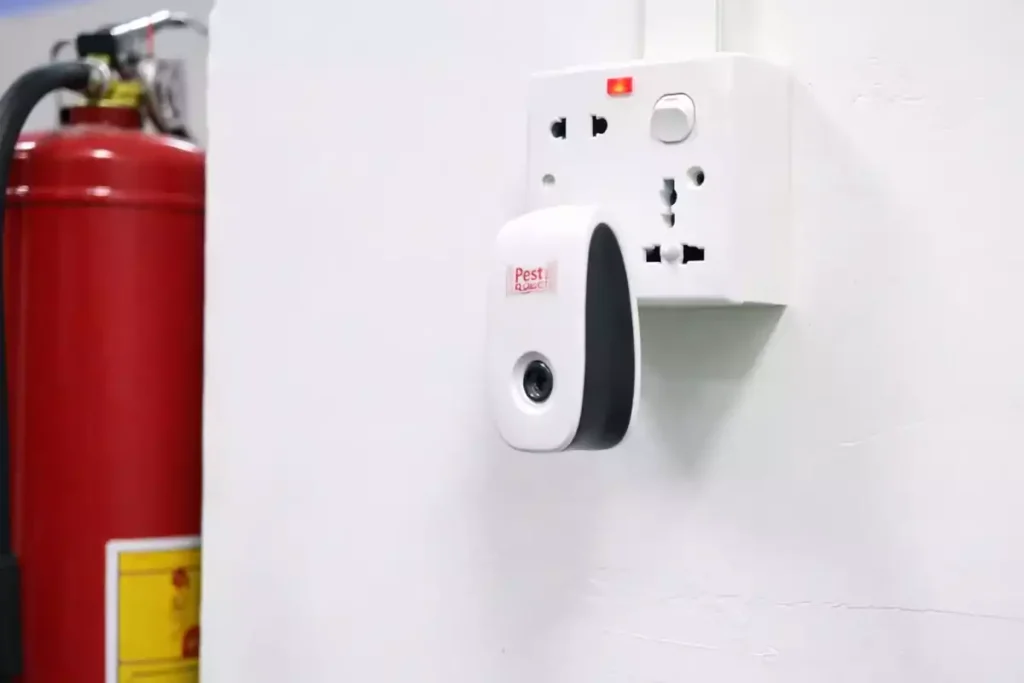 loir animaux grenier