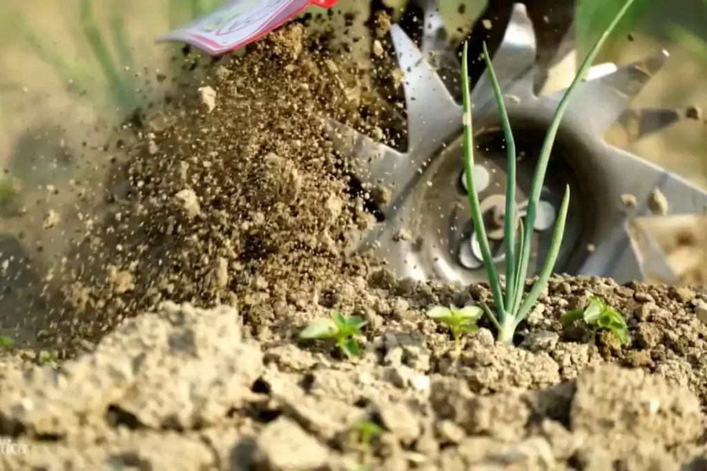 combien de fois faut passer la motobineuse