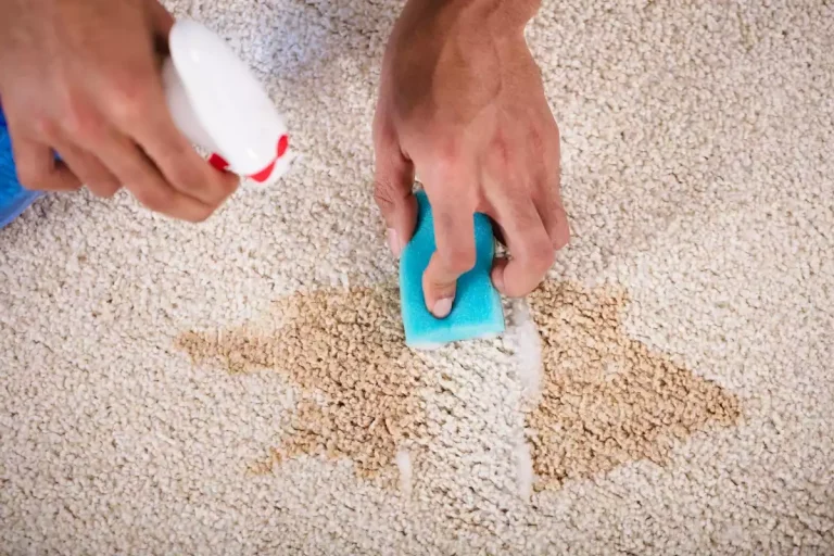 comment nettoyer du vomi sec sur un tapis