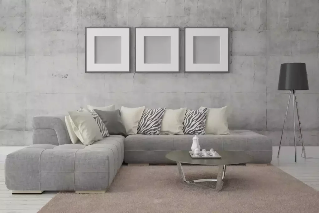 quel couleur tapis avec canape gris