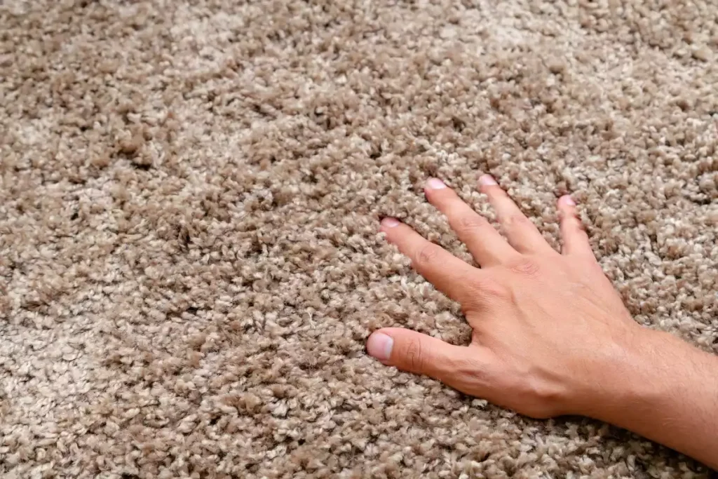 comment nettoyer tapis polypropylène