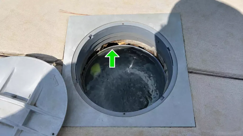 Pourquoi un skimmer finit-il par fuir ?